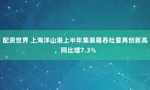 配资世界 上海洋山港上半年集装箱吞吐量再创新高，同比增7.3%