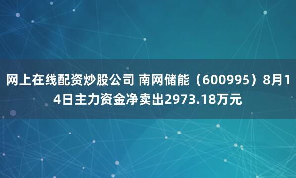 网上在线配资炒股公司 南网储能(600995)8月14日主力资金净卖出2973.18万元
